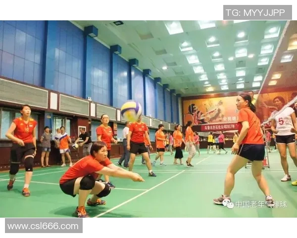 重庆排球队心理素质深度对比分析与提升策略探讨