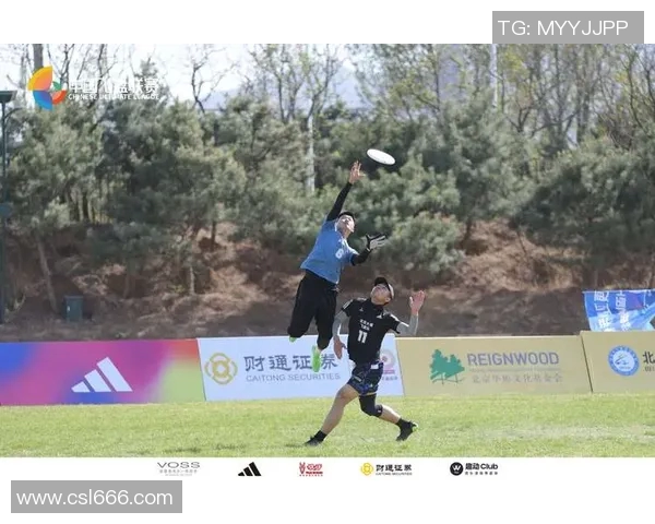 飞盘热潮引发讨论北京飞盘队节奏之争背后的故事与思考